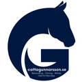 cattagunnarsson.se